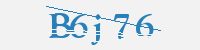 보안문자